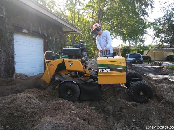 All Dade Tree Services