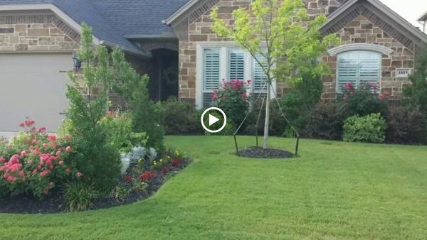 Empire Lawn Care