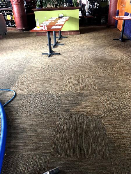 Stain Patrol Carpet Cleaning By Hugo