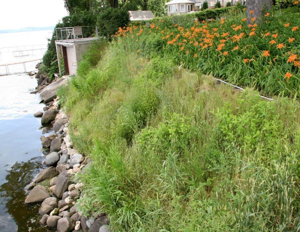 Erosion Control USA