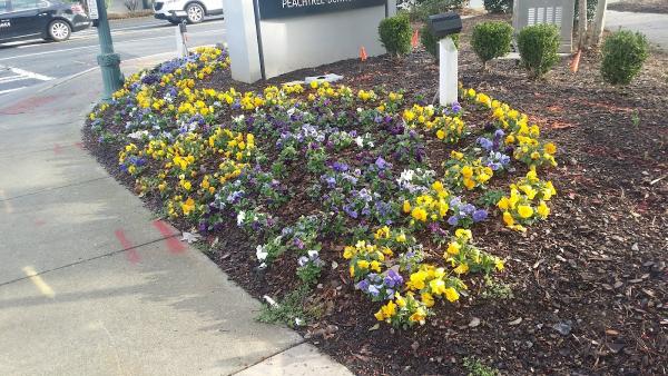 Glenn Mountain Lawncare