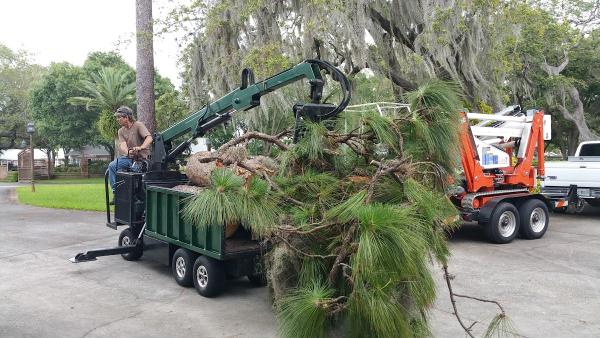 Tip Top Tree & Landscaping Service Inc
