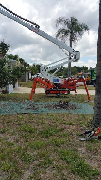 Tip Top Tree & Landscaping Service Inc