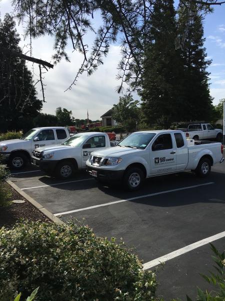 Kast Pest Control