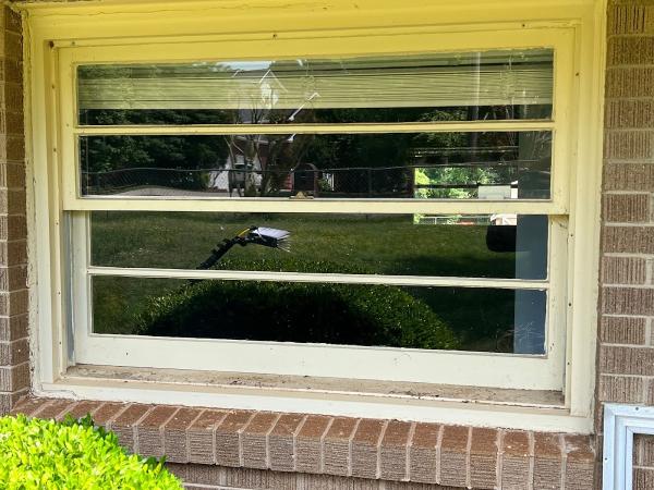 Rocket City Window Cleaning