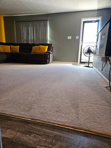 Absolute Clean