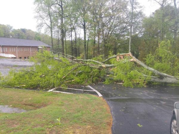 Huckabee Tree Service