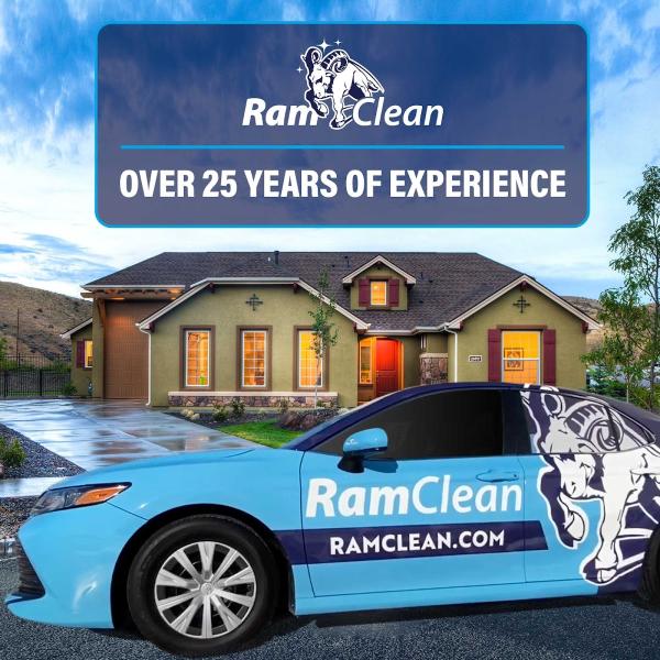 Ramclean
