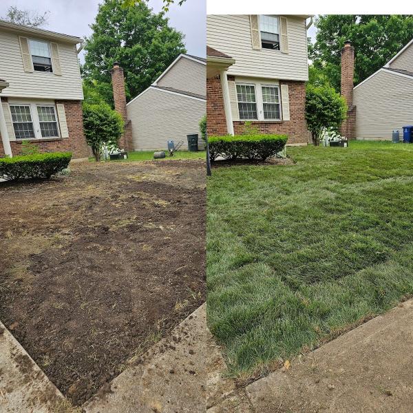 Tuff Green Lawn Care Service