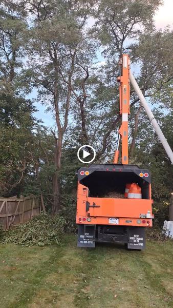 A.C. Tree Service LLC