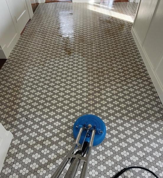 Coastline Carpet Cleaning