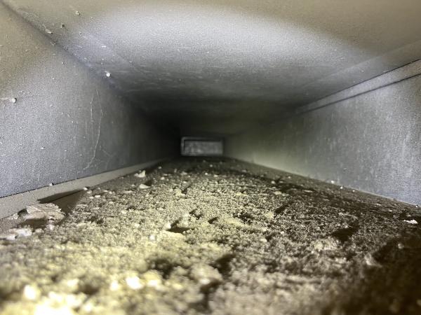 AZ PRO Cleaning Systems