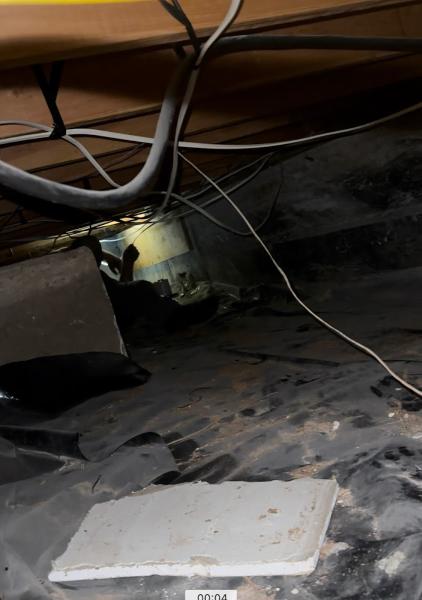 Shamrock Plumbing
