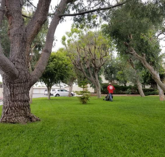 Gentry Commercial Landscape Maintenance Orange County