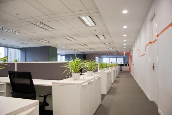 BCI Janitorial