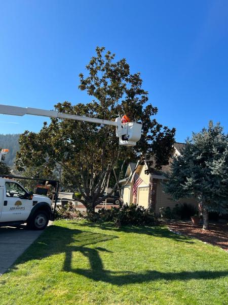 Abraham's Professional Tree Service