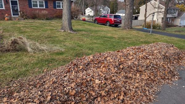 Scott Miller Landscaping Ltd