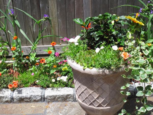 ROS THE Gardener