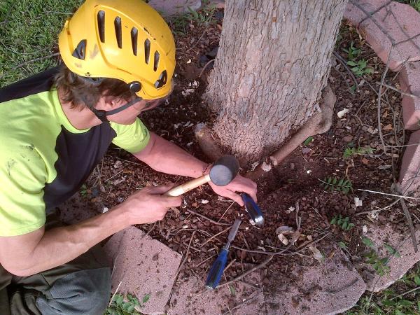 Integrity Tree Care