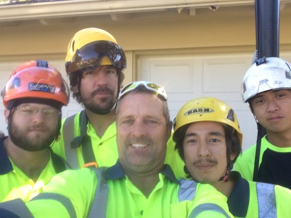 Integrity Tree Care