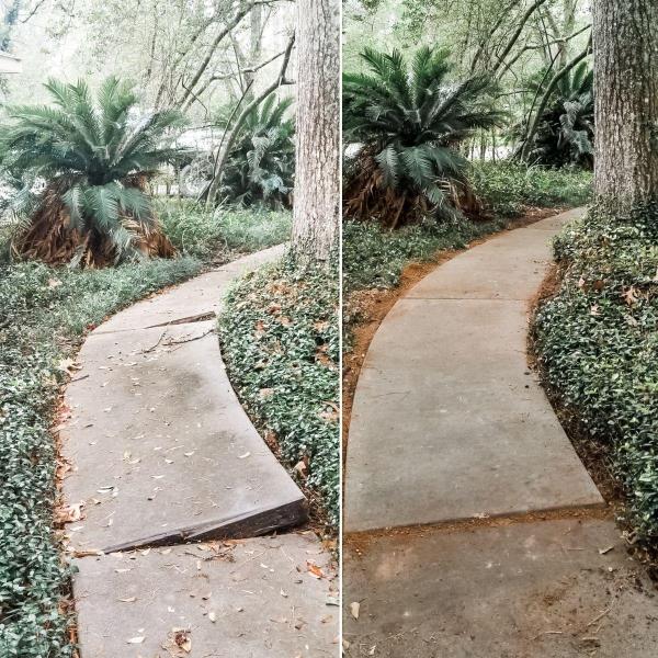 Mr. Sidewalk