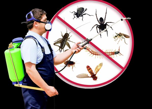 Apple Valley Lawn Care