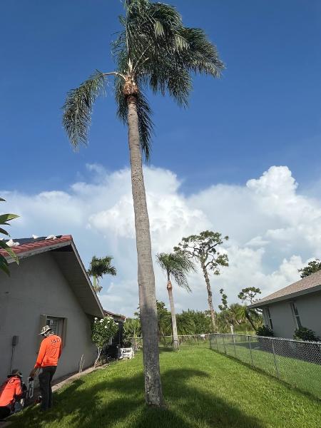 J&D Tree Services Inc
