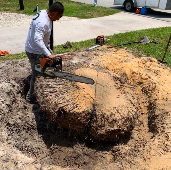J&D Tree Services Inc