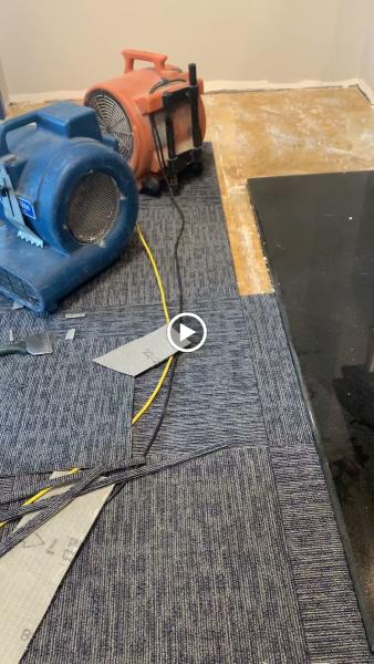 DRL Carpet