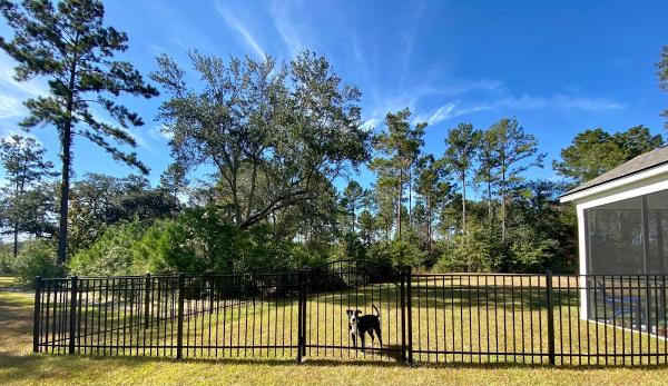 Charleston Fence LLC