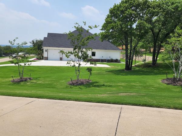 Anointed Lawn Care the Weed Killers