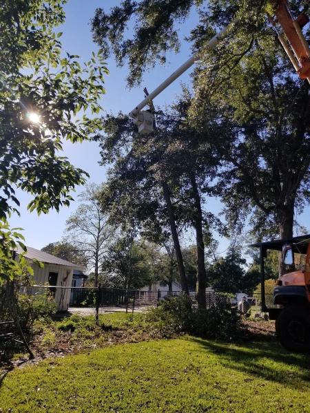 James & Son Tree and Crane Service
