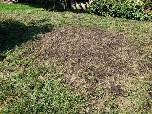 Qualigreen Lawn Care