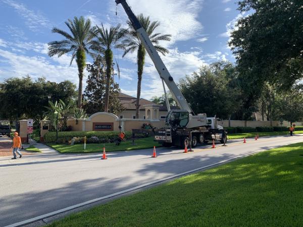 Arborist Aboard