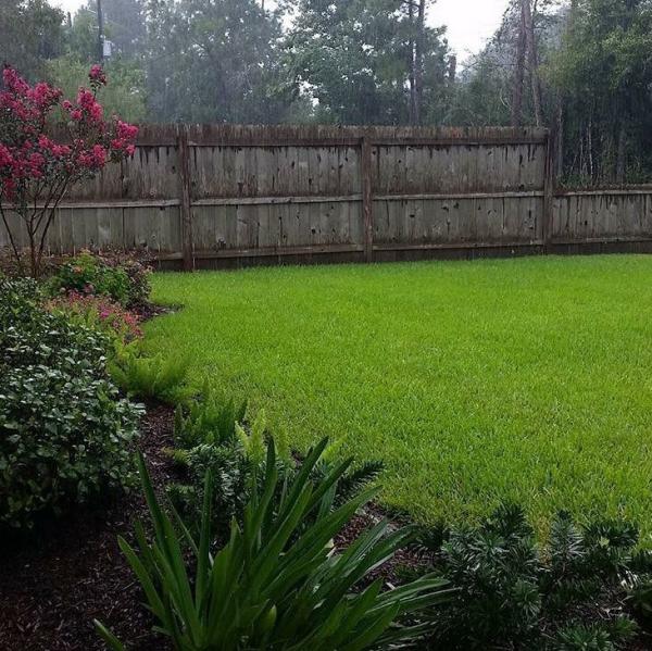 Premium Lawn Care