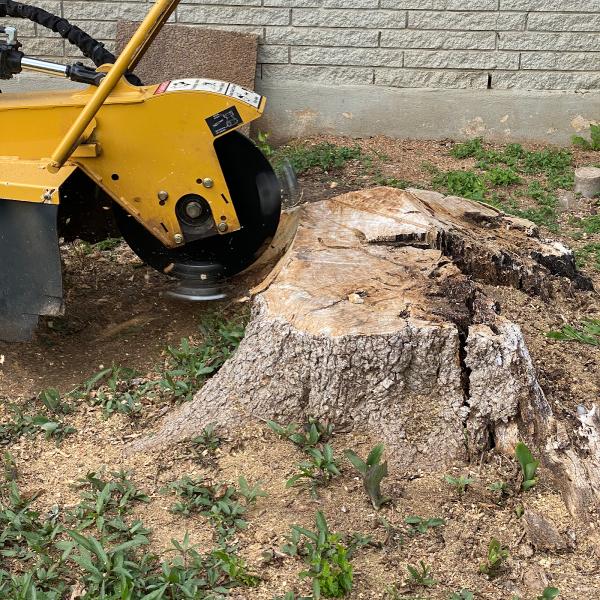 Precision Tree Service
