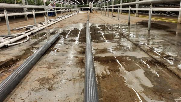 Elite Irrigation Maintenance