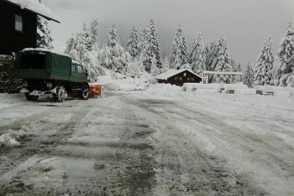 920 Lawn Care and Plowing