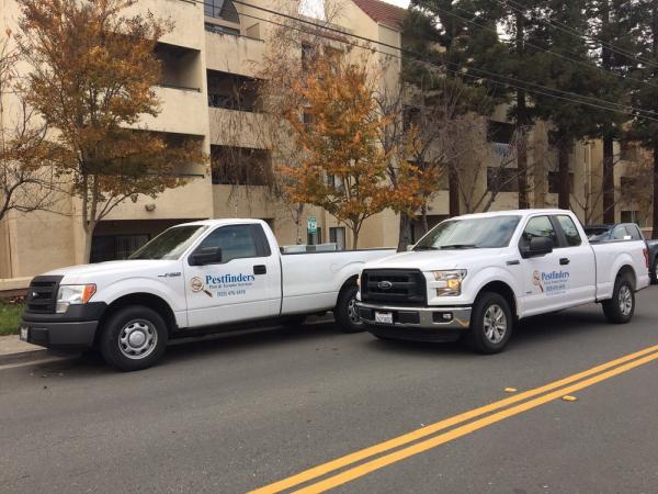 Pestfinders Pest Control Services