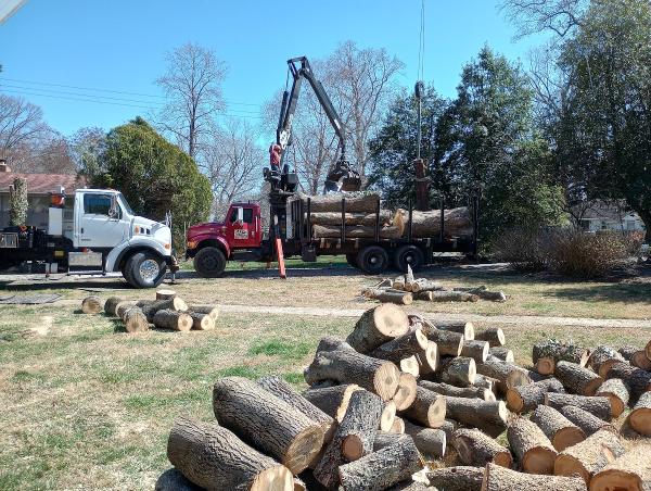 O & O Tree Services