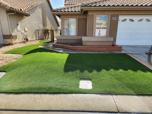 Coastal Turf