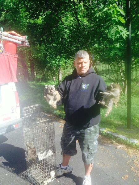 Superb Pest Control