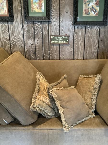 Bee-Kleen Professional Carpet Cleaning & More