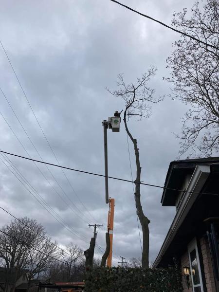 Otto Tree Service LLC