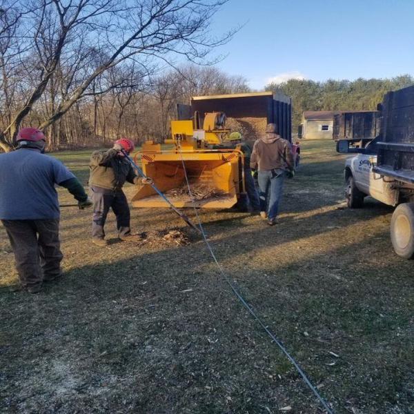 Smelser's Tree Service LLC