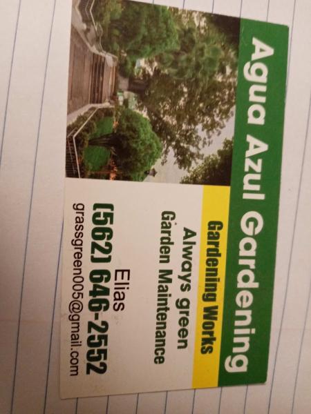 Yard Solution.
