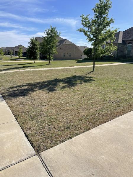 Legacy Lawn Services