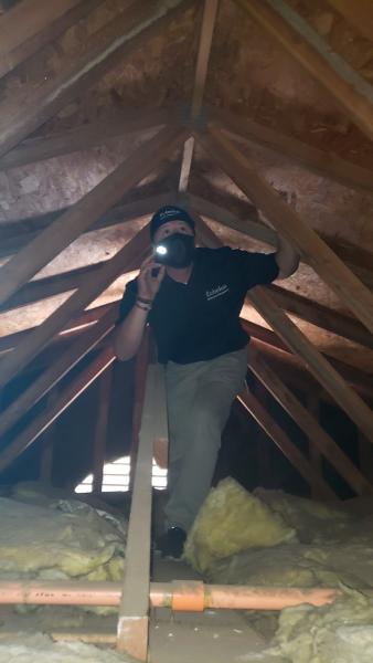 Echelon Inspection Professionals