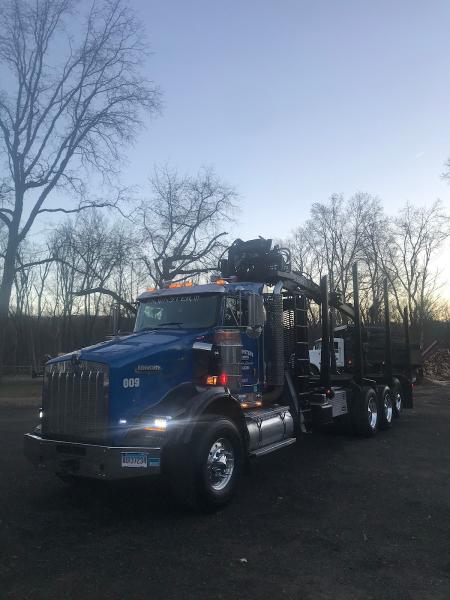 Tree Monsters Land Clearing