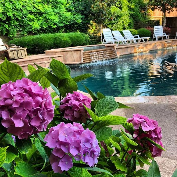 El Dorado Pools